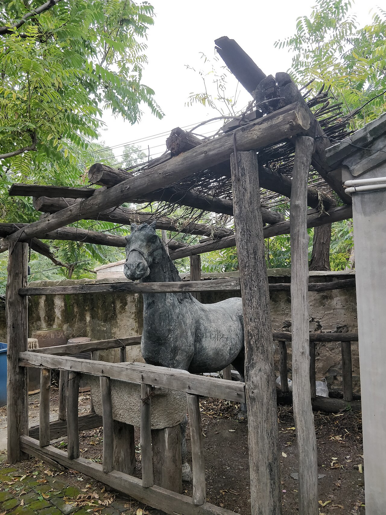 Ma Zhiyuan